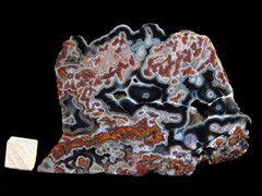 k4985