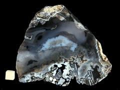 k4995