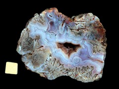 k4997